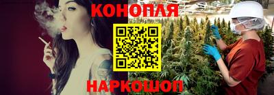 МДПВ Кингисепп