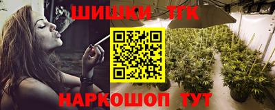 МДПВ Кингисепп
