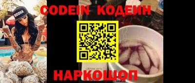 МДПВ Кингисепп